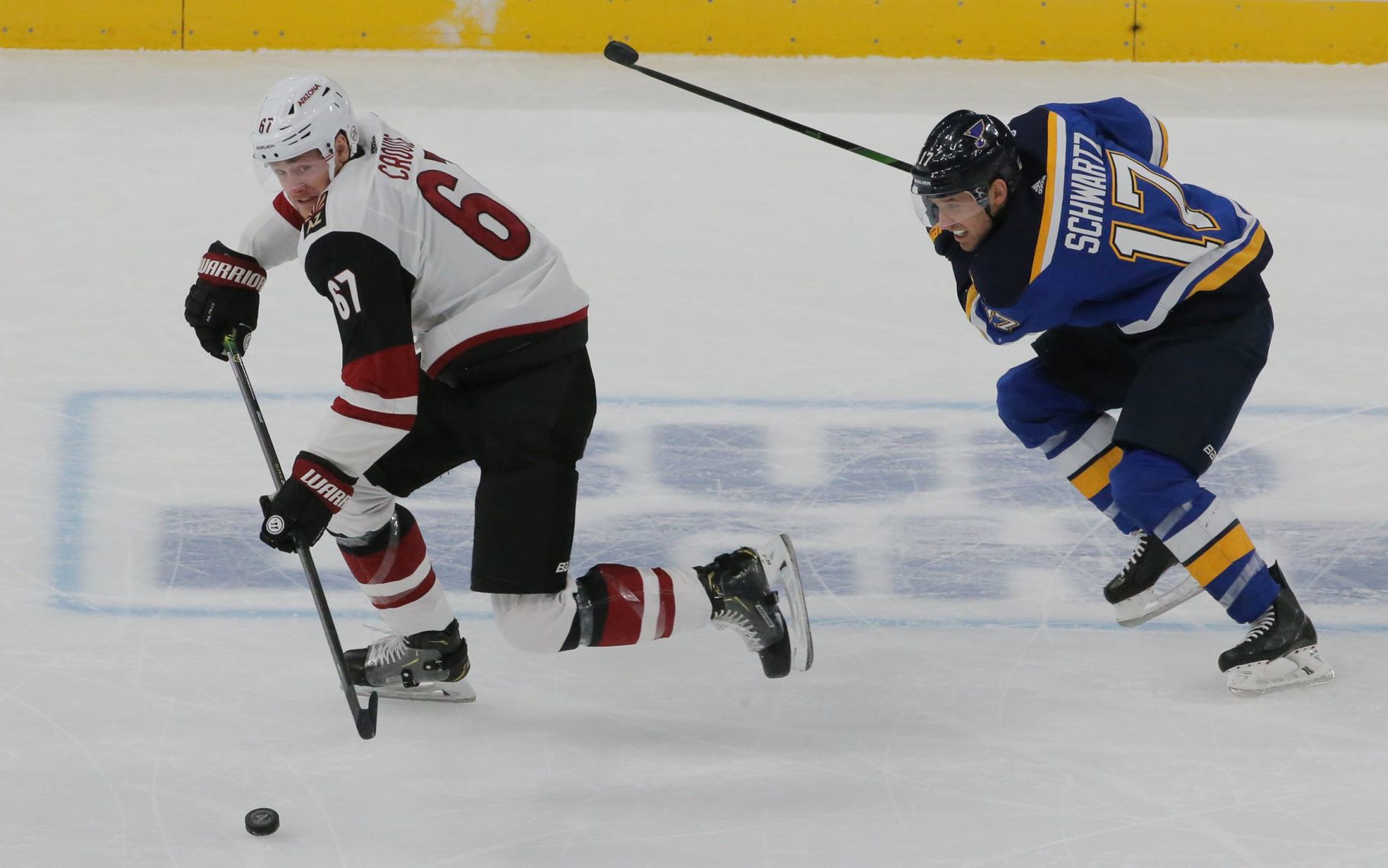 The Blues take on the Coyotes at Enterprise